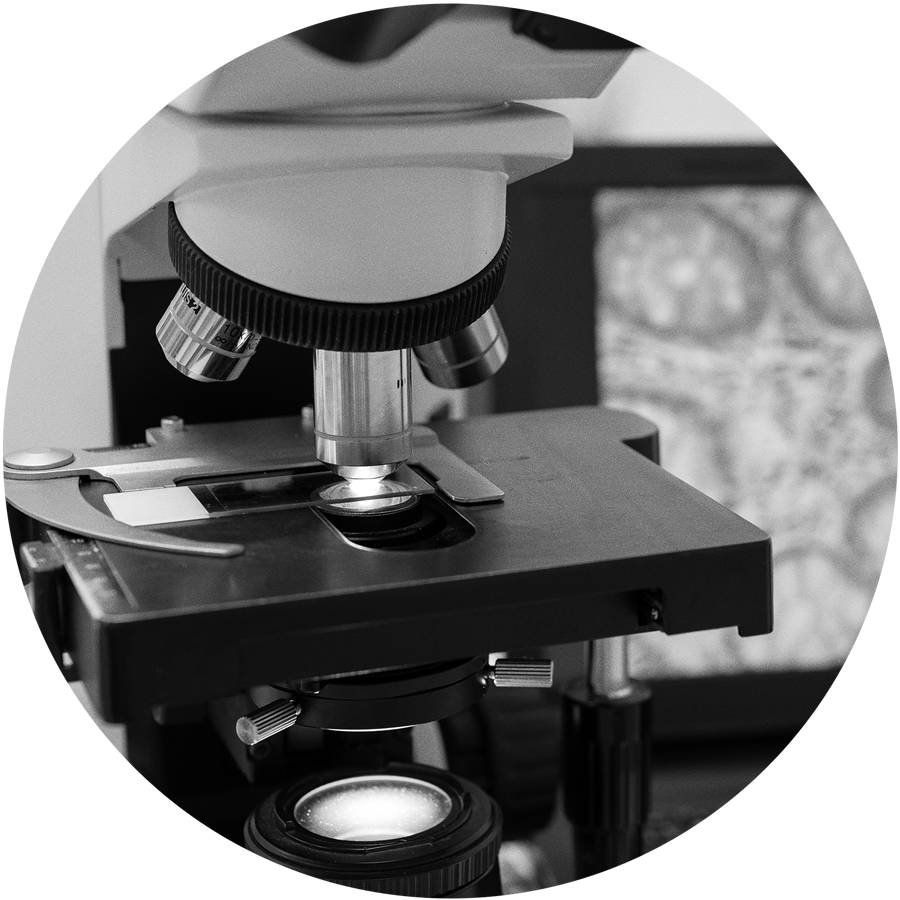 Thu Tran  Thu Tran, M.D. - Peninsula Pathologists